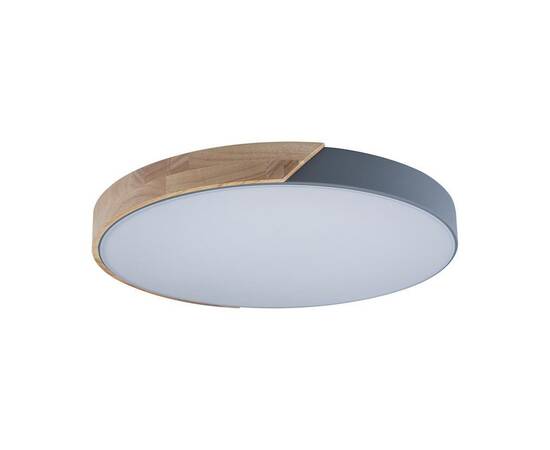 Потолочный светодиодный светильник Loft IT Axel 10004/36 grey