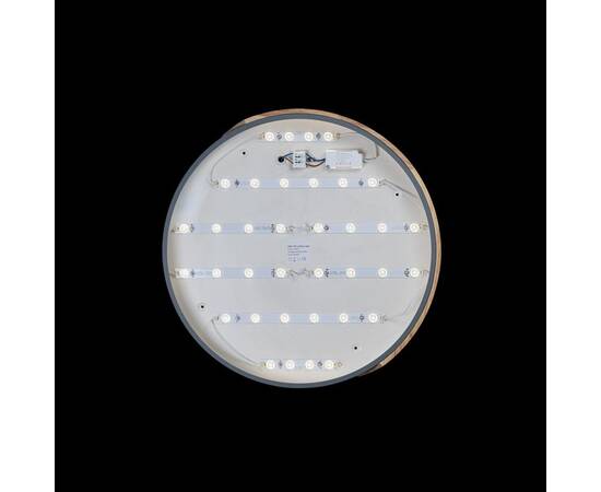 Потолочный светодиодный светильник Loft IT Axel 10004/36 grey, изображение 3