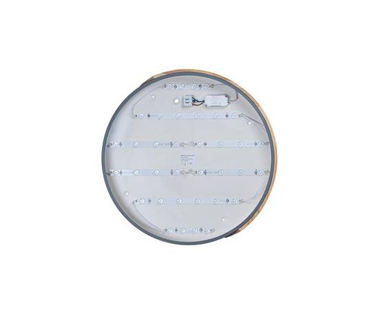 Потолочный светодиодный светильник Loft IT Axel 10004/36 grey, изображение 4