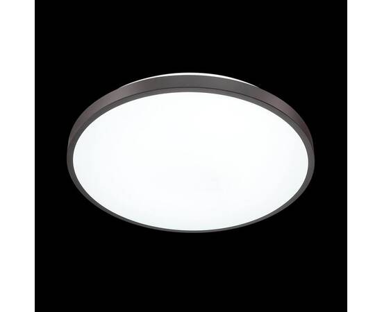 Настенно-потолочный светильник Sonex Tan Smalli 3012/DL, изображение 2