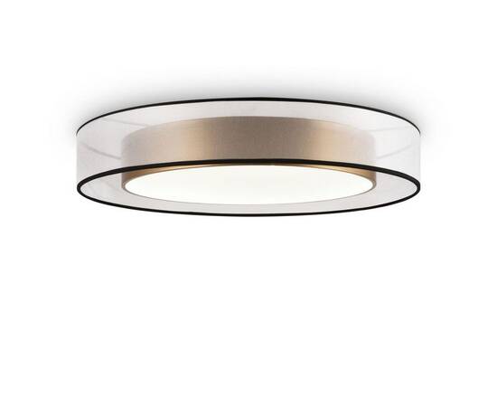 Потолочный светодиодный светильник Freya Zoticus FR6005CL-L48G