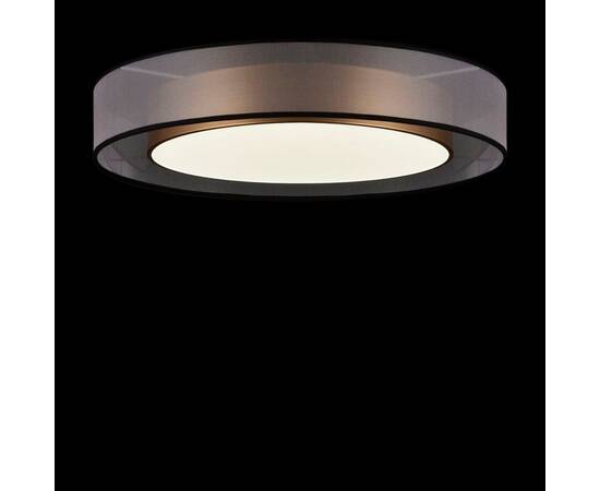 Потолочный светодиодный светильник Freya Zoticus FR6005CL-L48G, изображение 4