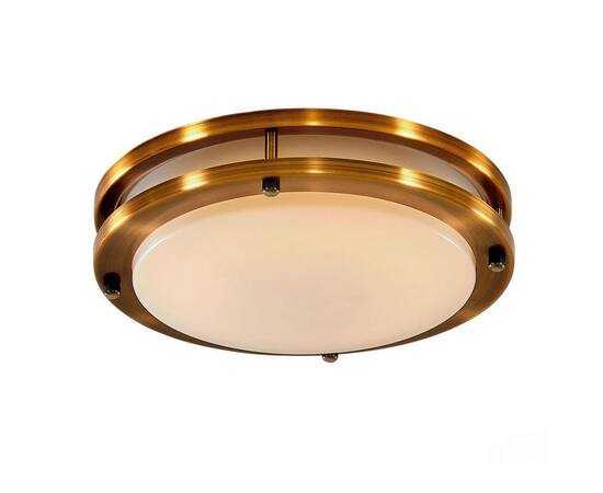 Потолочный светодиодный светильник Citilux Бостон CL709203N