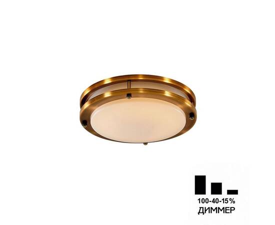 Потолочный светодиодный светильник Citilux Бостон CL709203N, изображение 2