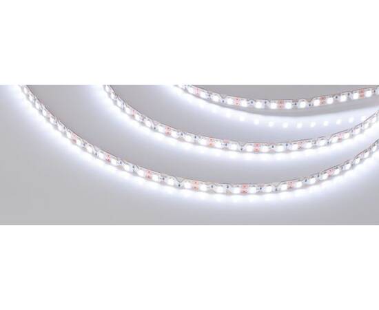 Светодиодная лента Arlight 12W/m 120LED/m 2835SMD холодный белый 5M 036453, изображение 3