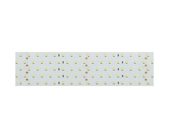Светодиодная лента Arlight 36W/m 350LED/m 2835SMD теплый белый 2,5M 020390(2), изображение 3