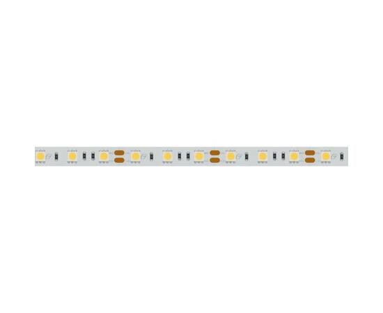 Светодиодная лента Arlight 14,4W/m 60LED/m 5060SMD холодный белый 5M 012339(2), изображение 2