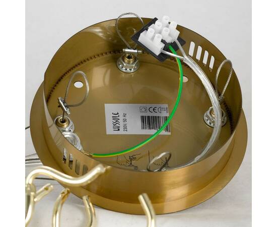 Подвесная люстра Lussole Adams LSP-8606, изображение 3