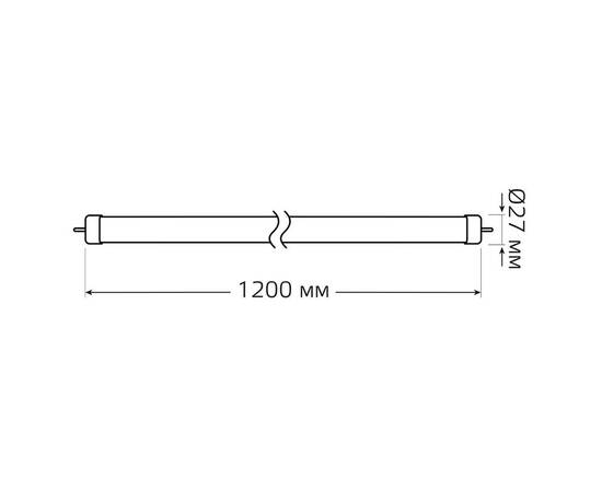 Лампа светодиодная Gauss G13 24W 6500К матовая 93034, изображение 2