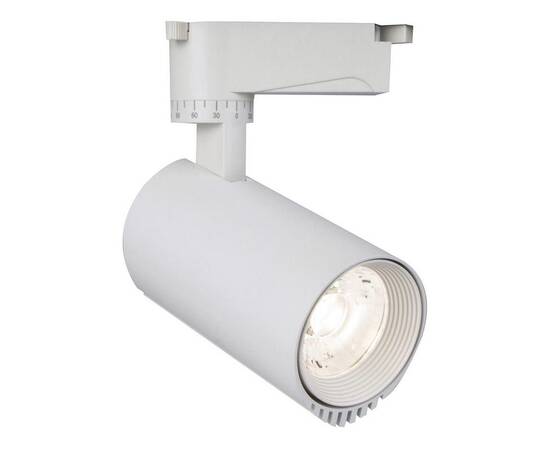 Трековый светодиодный светильник Escada 20031TRA/02LED SWH