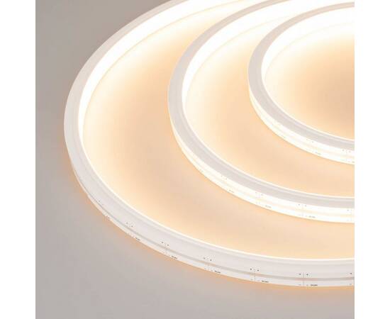 Гибкий неон Arlight 12W/m 252LED/m 2216SMD дневной/теплый белый 5M Moonlight-Top-M252-13x12mm 24V Wh, изображение 2
