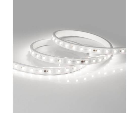 Светодиодная влагозащищенная лента Arlight 8W/m 54LED/m 5060SMD холодный белый 50M ARL-PV-B54-15.5mm