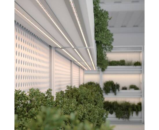 Светодиодная влагозащищенная лента Arlight 14W/m 144LED/m 2835SMD дневной белый/красный 5M FITOLUX-S, изображение 5