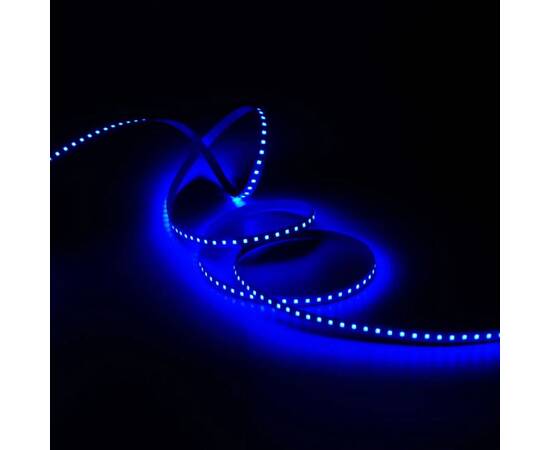 Светодиодная лента Gauss 9,6W/m 120LED/m 2835SMD синий 3M BT067, изображение 9