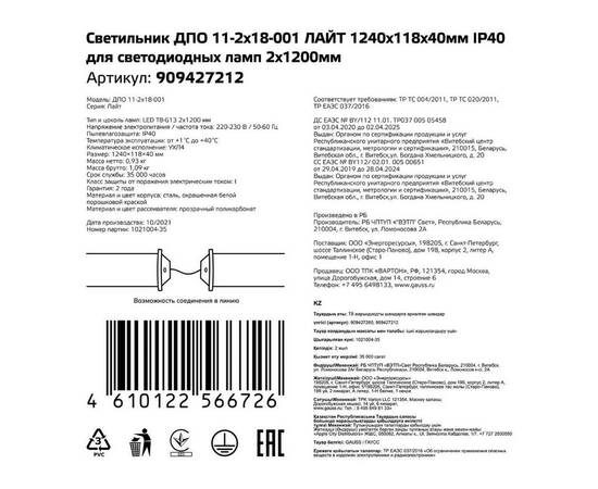 Настенно-потолочный светильник Gauss 909427212, изображение 3