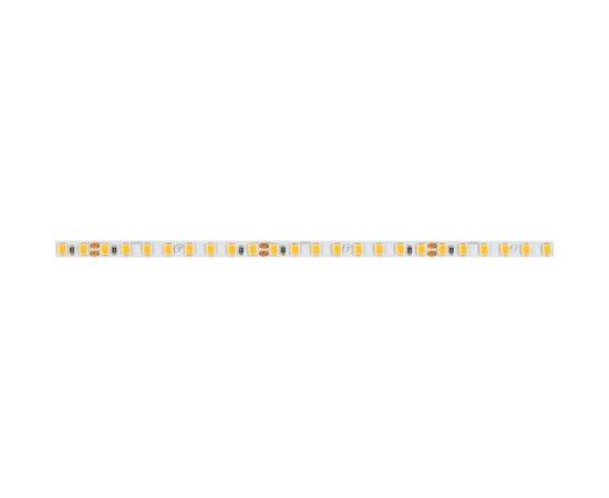 Светодиодная лента Arlight 15W/m 160LED/m 2835SMD дневной белый 5M RT-A160-5mm 24V Day4000 037812, изображение 3