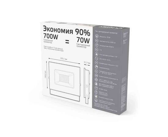 Прожектор светодиодный Gauss 70W 688100370, изображение 6