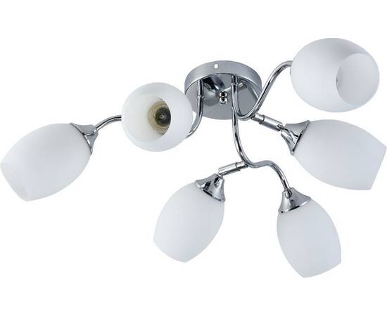 Потолочная люстра Rivoli Hollie 3135-306 Б0055379, изображение 2