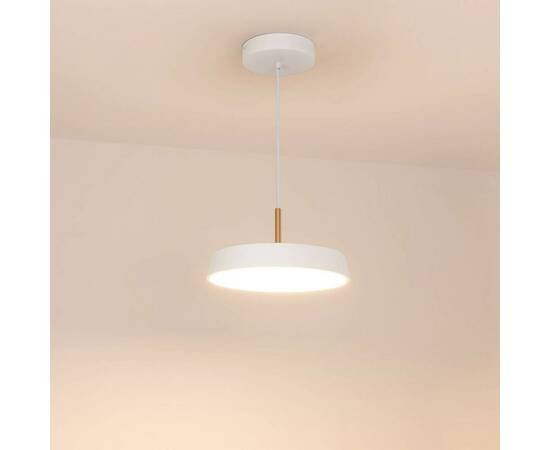 Подвесной светодиодный светильник Arlight SP-Elegant-R300-17W Warm3000 033914(1), изображение 3