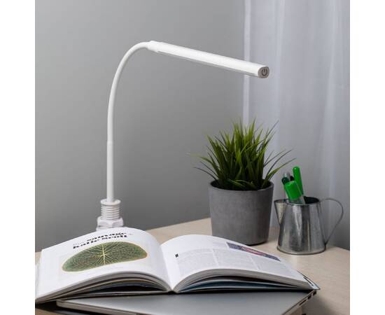 Настольная лампа Эра NLED-509-8W-W Б0059841, изображение 8