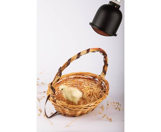 Светильник для террариумов и брудеров Эра FITO-E27-SHADE Б0053286, изображение 12