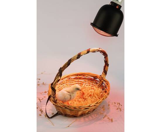 Светильник для террариумов и брудеров Эра FITO-E27-SHADE Б0053286, изображение 13