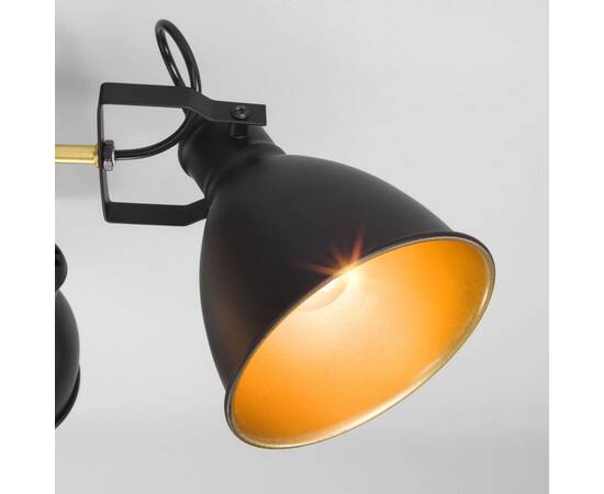 Потолочная люстра Eurosvet Denley 70112/8 черный, изображение 3