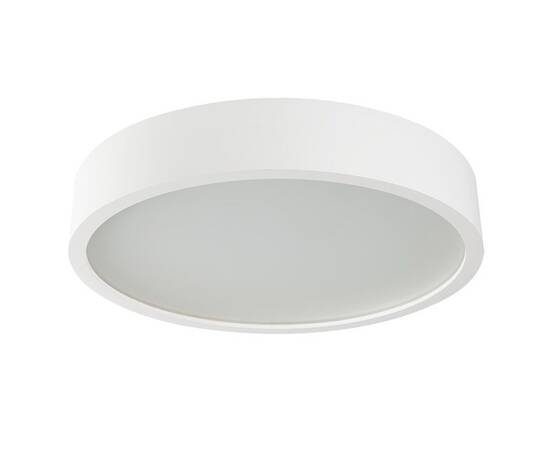 Настенный потолочный светильник Kanlux JASMIN 470-W/M 23128