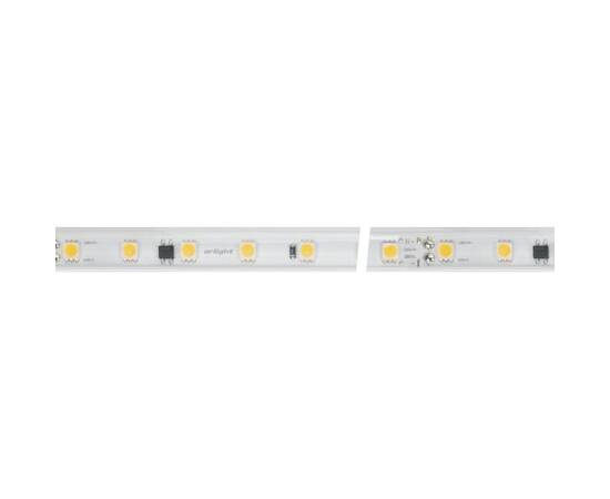 Светодиодная влагозащищенная лента Arlight 8W/m 54LED/m 5060SMD холодный белый 10M 029403(2), изображение 2