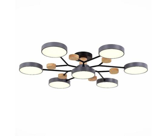 Потолочная светодиодная люстра Evoluce FAEMA SLE6006-702-07