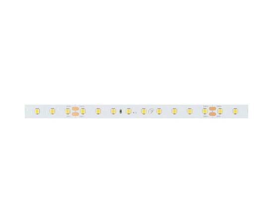 Светодиодная лента Arlight 4,8W/m 90LED/m 2835SMD дневной белый 5M RT-A90-10mm 24V Day4000 036207, изображение 4