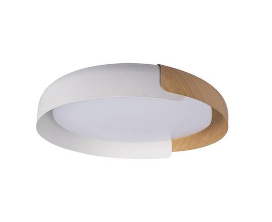 Потолочный светодиодный светильник Loft IT Coin 10198 White