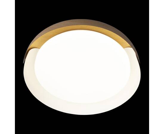 Потолочный светодиодный светильник Loft IT Coin 10198 White, изображение 4