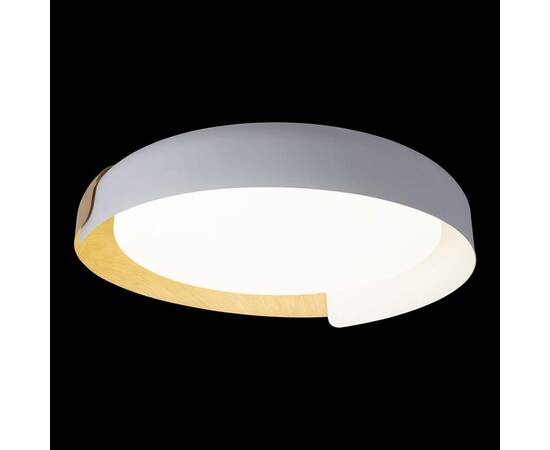 Потолочный светодиодный светильник Loft IT Coin 10198 White, изображение 6