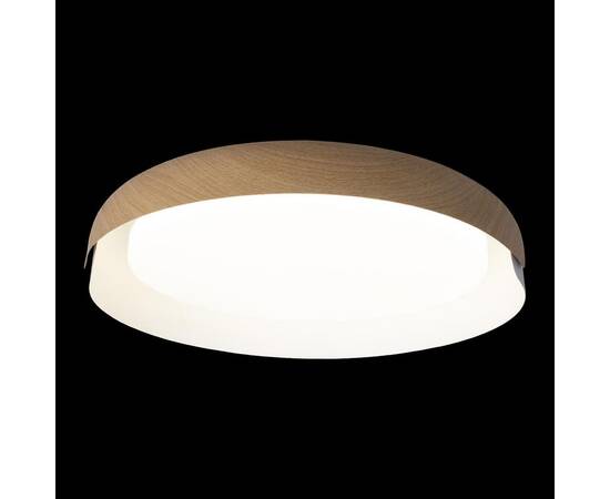 Потолочный светодиодный светильник Loft IT Coin 10198 White, изображение 7