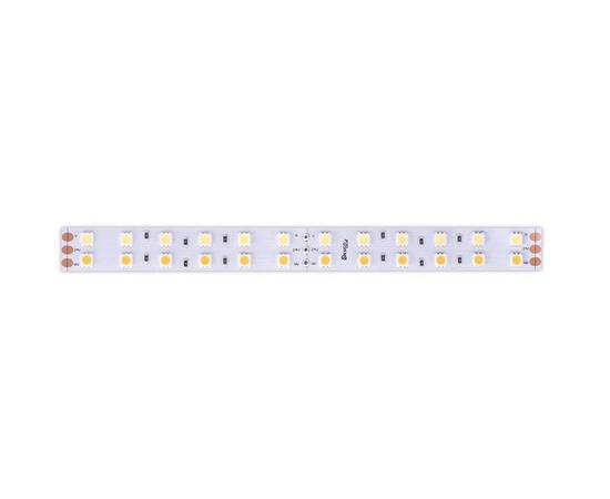 Светодиодная лента DesignLed DSG5120-24-W+WW-33 000515, изображение 3