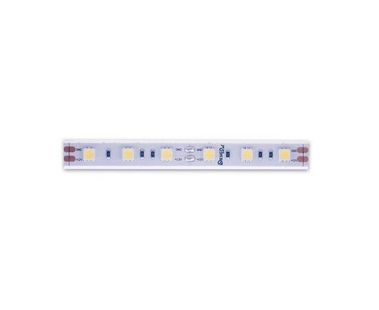 Светодиодная лента DesignLed DSG560-12-W-65 000518, изображение 3