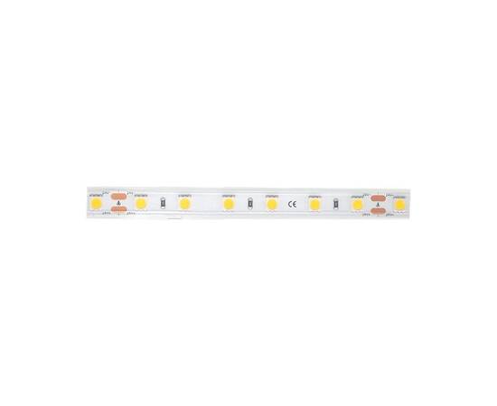 Светодиодная лента DesignLed DSG560-24-NW-65 002378, изображение 4