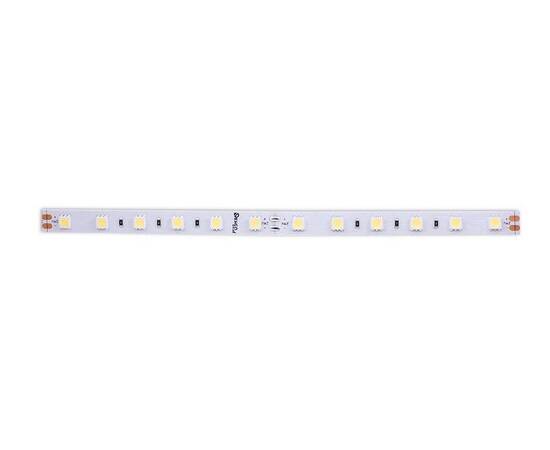 Светодиодная лента DesignLed DSG560-24-W-33 000520, изображение 3