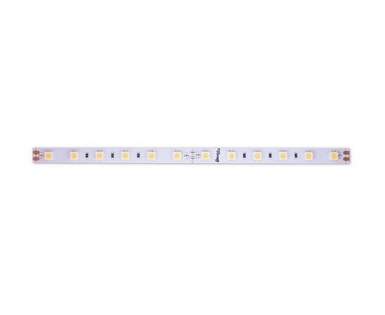 Светодиодная лента DesignLed DSG560-24-WW-33 000521, изображение 3