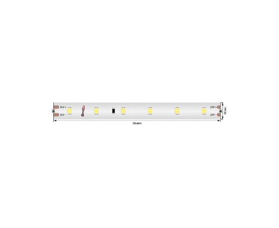 Светодиодная лента Designled DSG260S-24-W-67-20M 021666