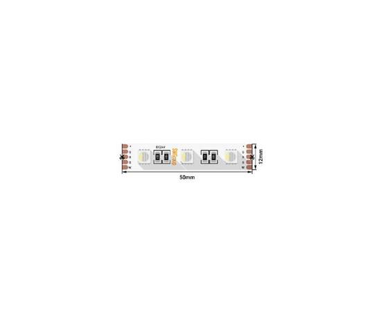 Светодиодная лента SWG Standard SWG560-24-19.2-RGB+NW-M 018657