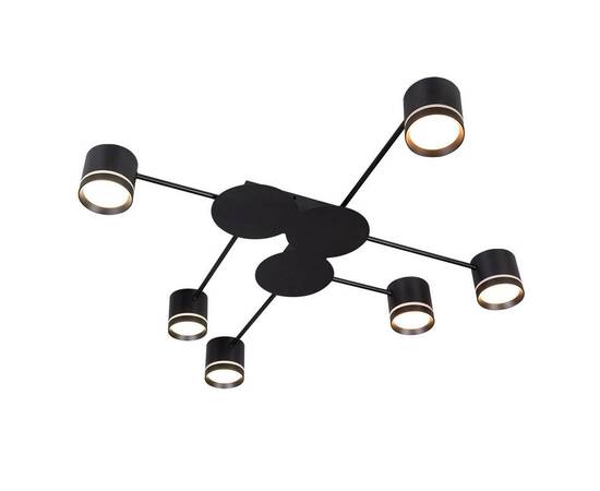 Потолочная люстра Arte Lamp Legacy A8024PL-6BK