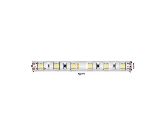 Светодиодная лента SWG Standard 24В 5050 14,4Вт/м 6000-6500K 5м IP65 SWG560-24-14.4-W-68-M 021280