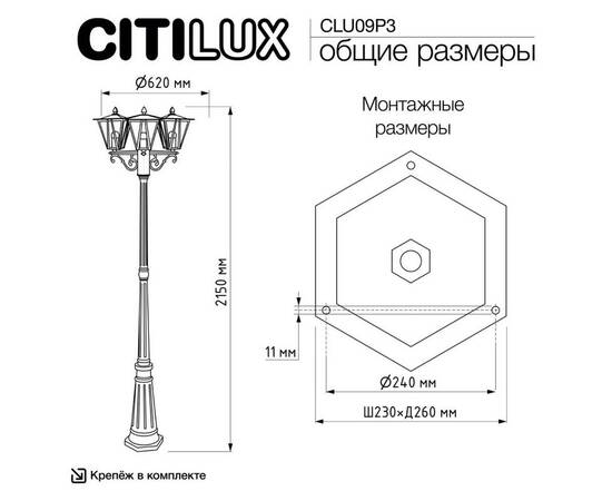 Парковый светильник Citilux Forts CLU09P3, изображение 13