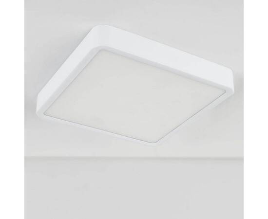 Потолочный светодиодный светильник Elektrostandard DLS034 18W 4200K a043017, изображение 3