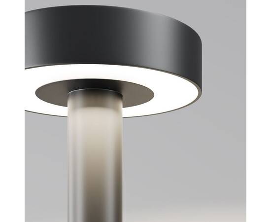 Садово-парковый светильник Maytoni O529FL-L30B3K, изображение 2