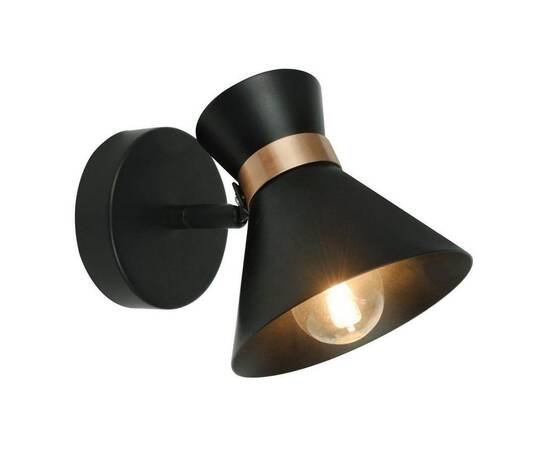 Спот Arte Lamp Baltimore A1406AP-1BK, изображение 3