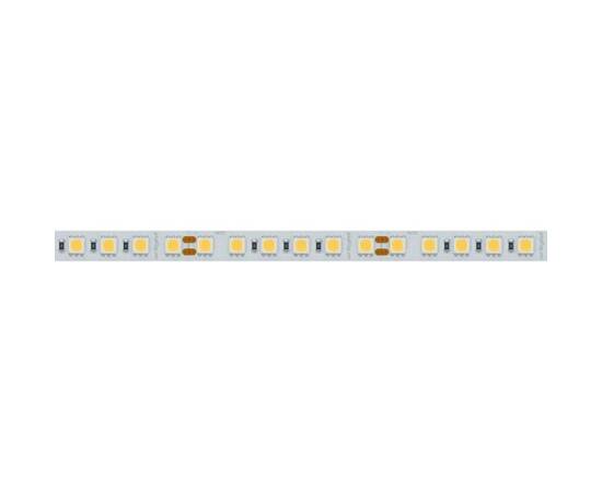 Светодиодная лента Arlight 23W/m 96LED/m 5060SMD белый 5M 017427(2)