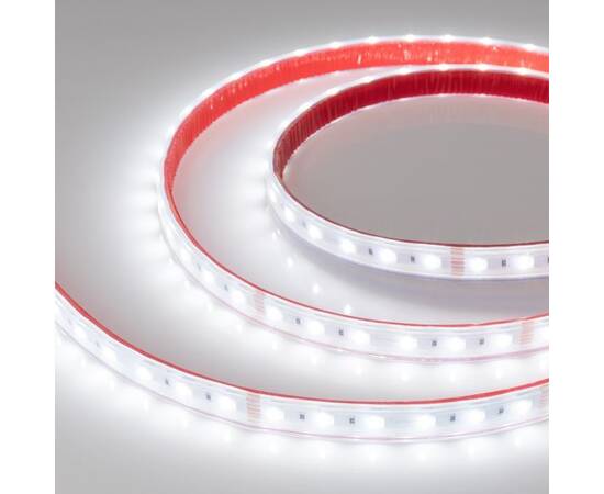 Светодиодная влагозащищенная лента Arlight 19,2W/m 60LED/m 5060SMD разноцветный/холодный белый 5M 03, изображение 2